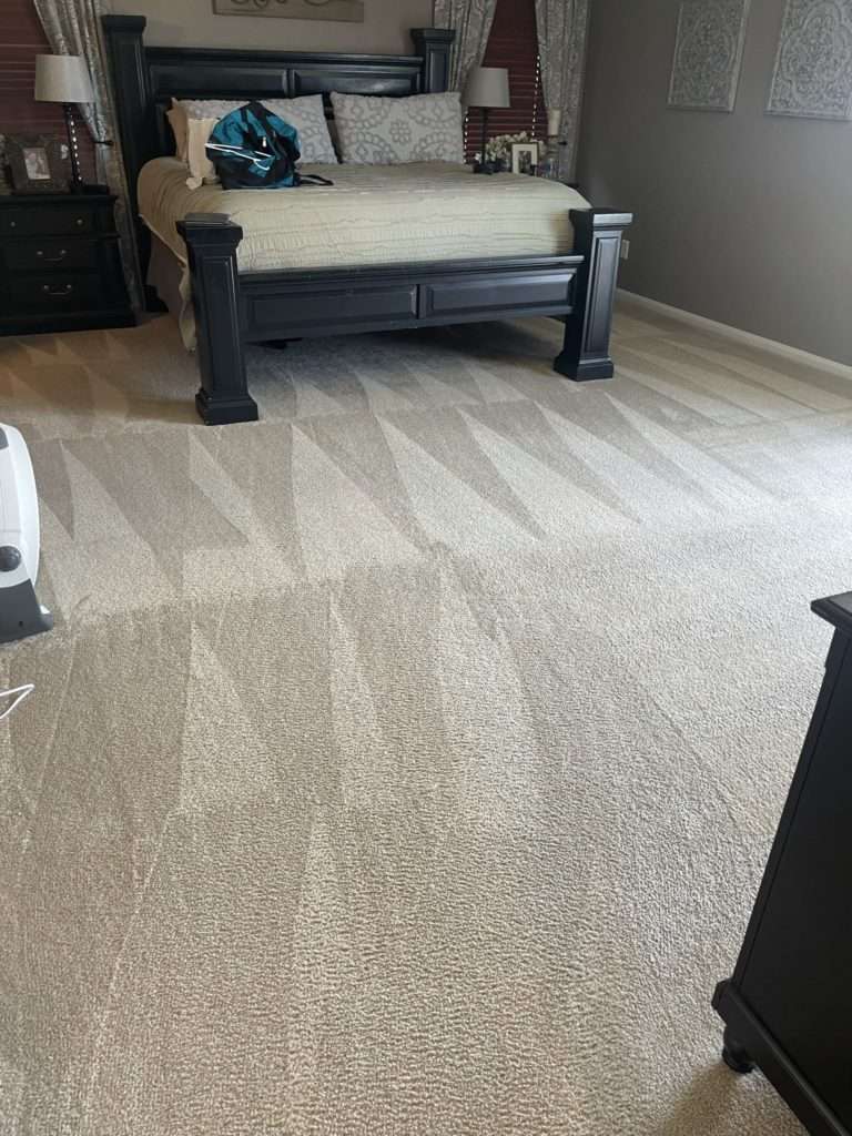 clean carpet in a bedroom